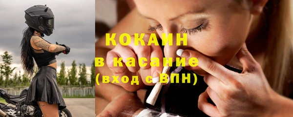 индика Осташков