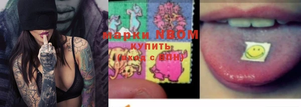 индика Вязники