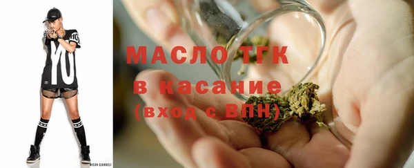 индика Вязники