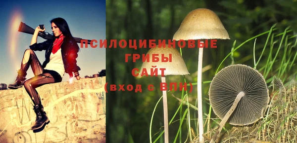 мяу мяу мука Волоколамск