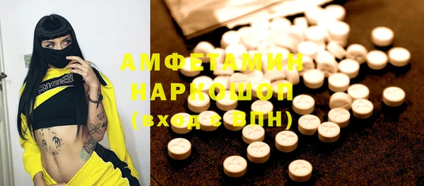 ПСИЛОЦИБИНОВЫЕ ГРИБЫ Горно-Алтайск