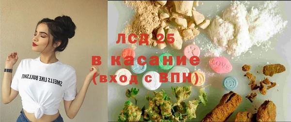 индика Вязники