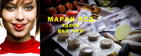 индика Осташков