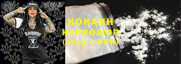 индика Вязники