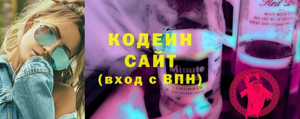 индика Вязники