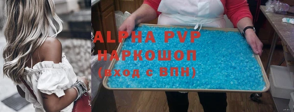 индика Вязники